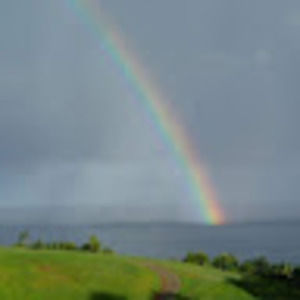 Meet your Posher, Lucy